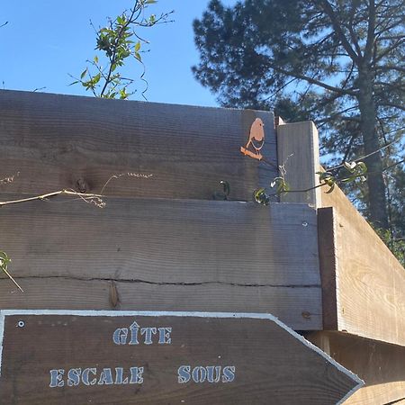 Escale Sous Les Pins Villa Salles  Dış mekan fotoğraf