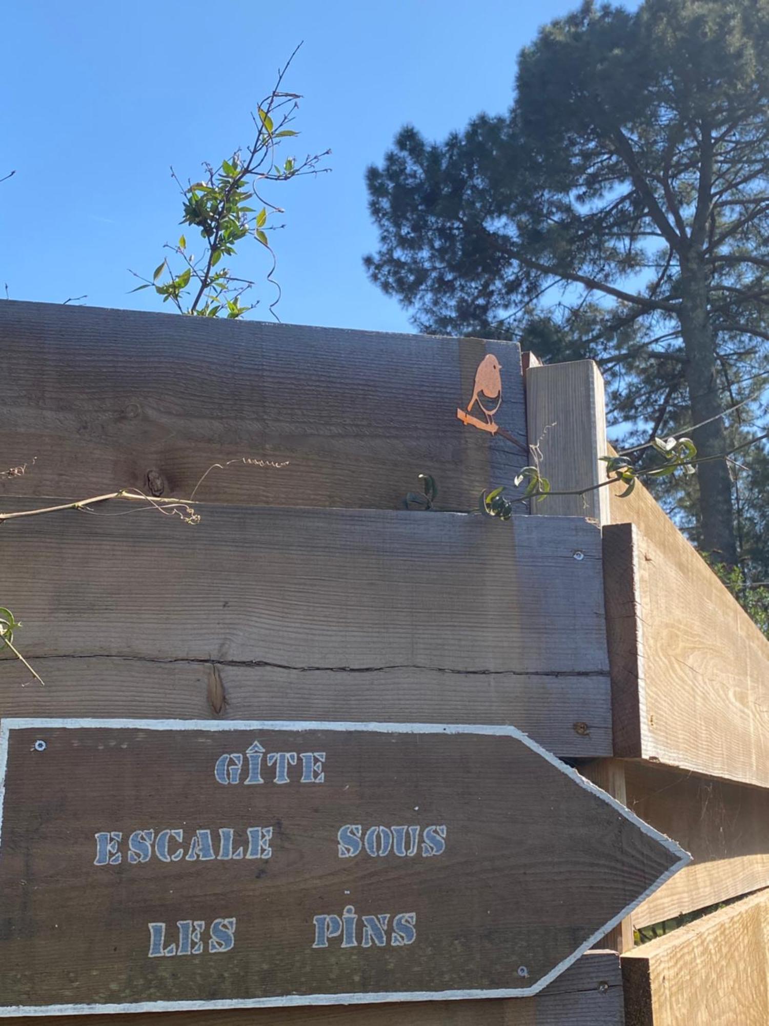 Escale Sous Les Pins Villa Salles  Dış mekan fotoğraf